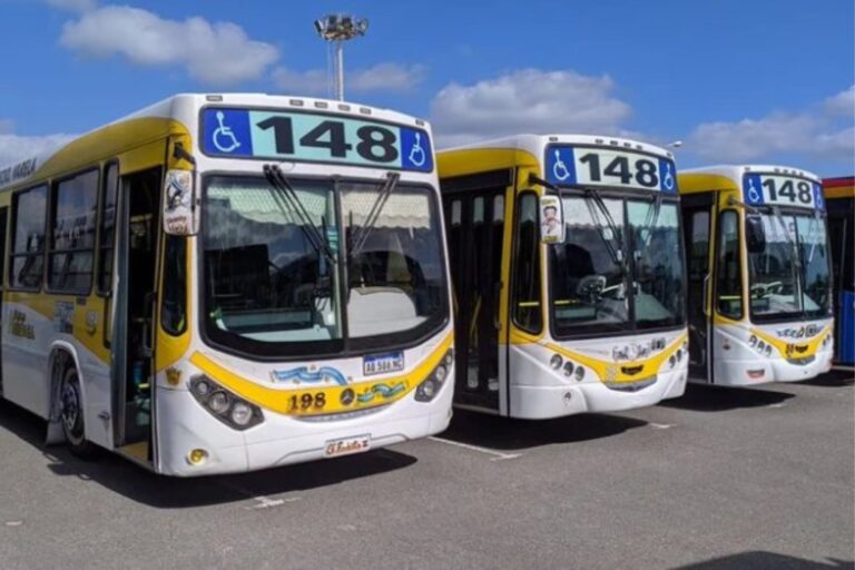Paro de colectivos: el Gobierno dictó la conciliación obligatoria en el conflicto de la línea 148