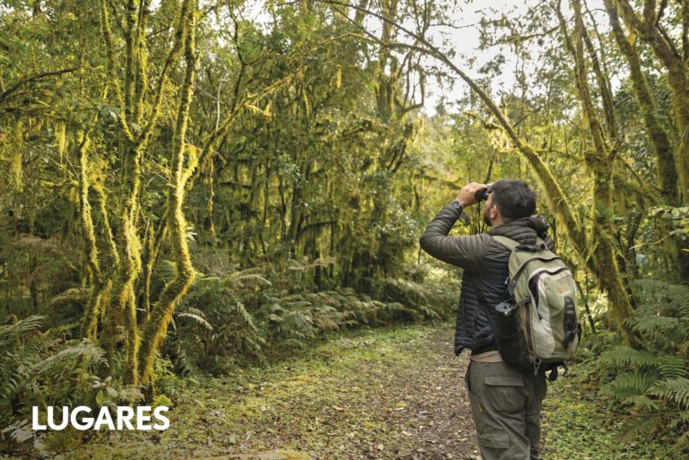 Descubre el Paraíso Natural: El Parque Nacional Aconquija y su Biodiversidad