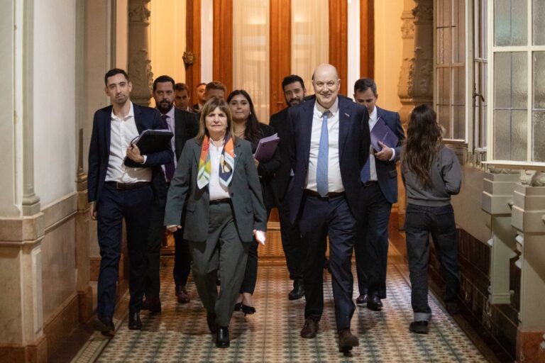 Senado: Bullrich y Sturzenegger cierran filas para tratar de avanzar con la extranjerización de tierras