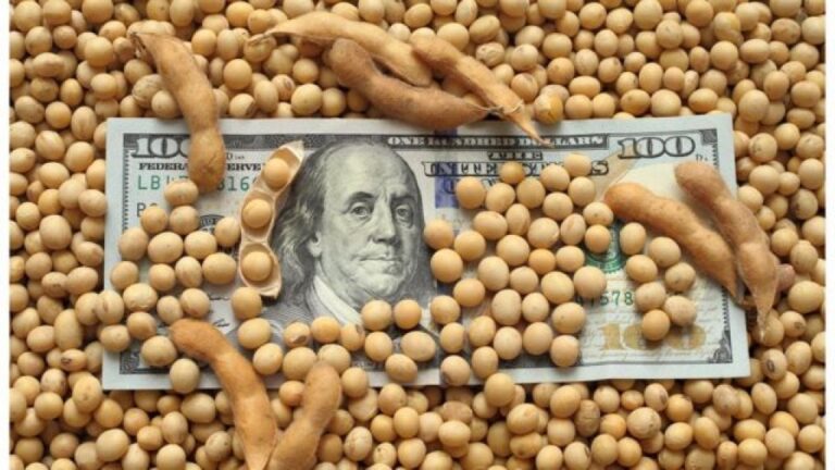 El agro liquidó más de US$3.000 millones en julio