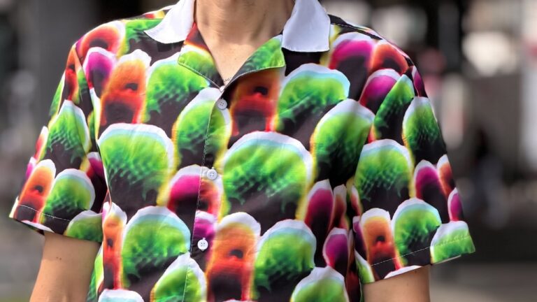 La Camisa Hawaiana que Engaña a la Inteligencia Artificial