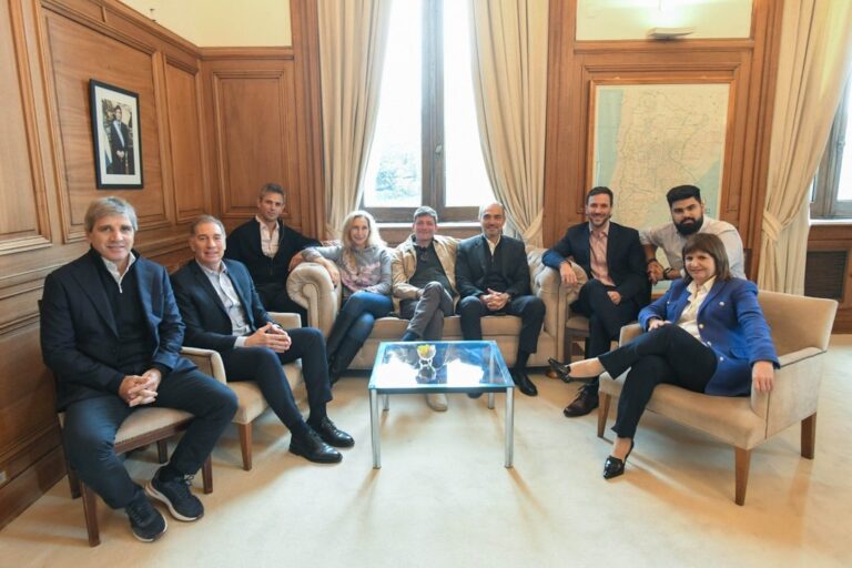 Reforma Electoral: El Gobierno busca avanzar a pesar de la falta de apoyos