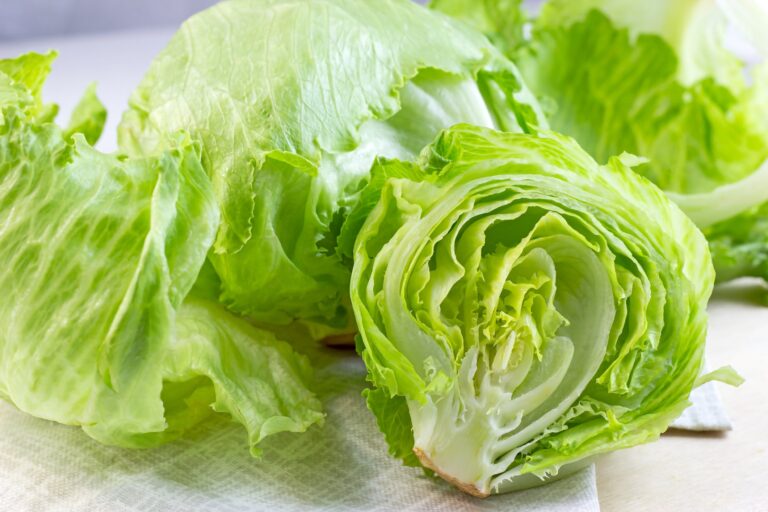 Estados Unidos investiga brote de ciclosporiasis vinculado a lechuga de Guanajuato