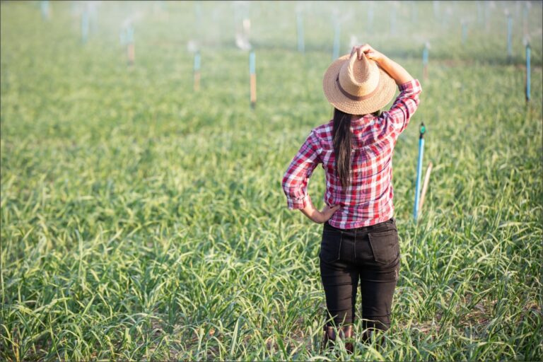 El temor de los trabajadores agrícolas en EE.UU.: la historia de Yasmine y su lucha diaria