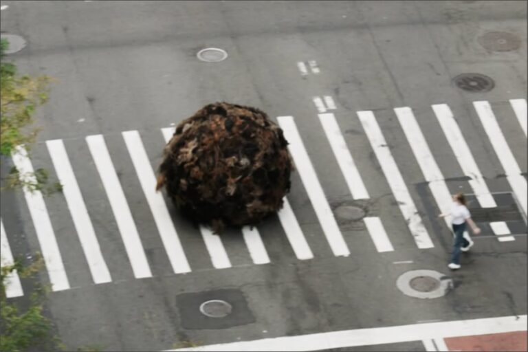 Una Bola Gigante de Pelo Humano Causa Sensación en las Calles de Nueva York