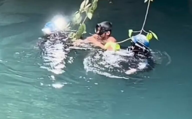 Milagro en el fondo del cenote: Pescador sobrevive dos semanas atrapado bajo el agua