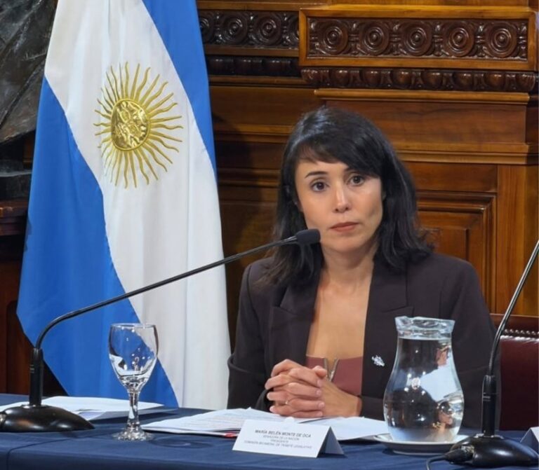 Tierra del Fuego se posiciona como clave en la defensa del Atlántico Sur, según senadora