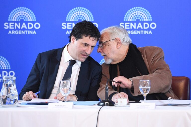 El Senado Analiza la Designación de Martín Vauthier como Director del BCRA hasta 2028