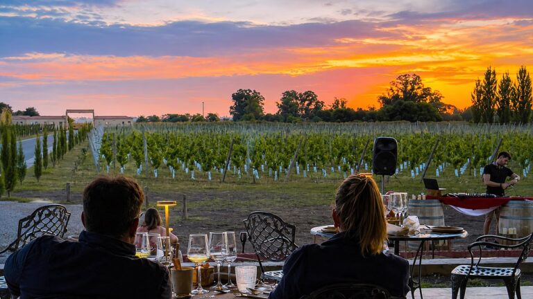 Escapadas Primaverales: Las Mejores Bodegas Bonaerenses para Disfrutar