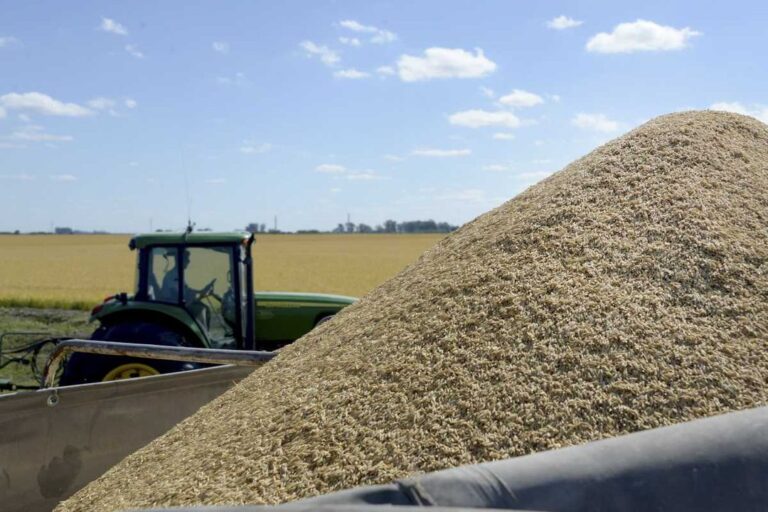 Riesgos Económicos: La Estrategia Argentina de Commodities Bajo la Lupa