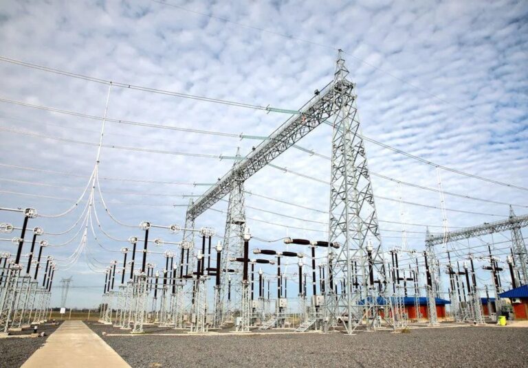 Controversia por Dividendos de Transener: Nuevos Accionistas Obtienen US$44 Millones