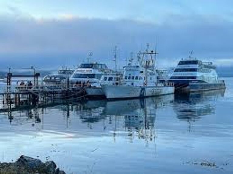 Crisis en Tierra del Fuego: Seis semanas sin clases y problemas en el puerto