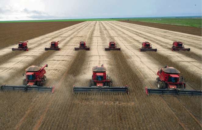Oportunidad Única para Productores: Asegurar Precios Mínimos ante el Alza Global