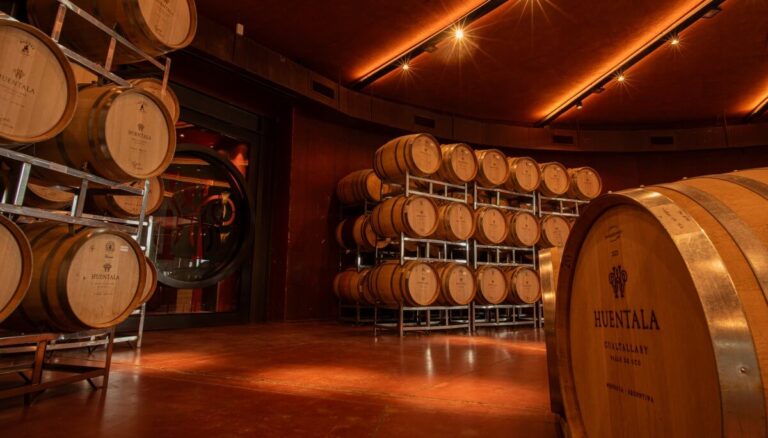 Un Malbec Argentino Triunfa: El Mejor Vino Tinto del Mundo Según IWC