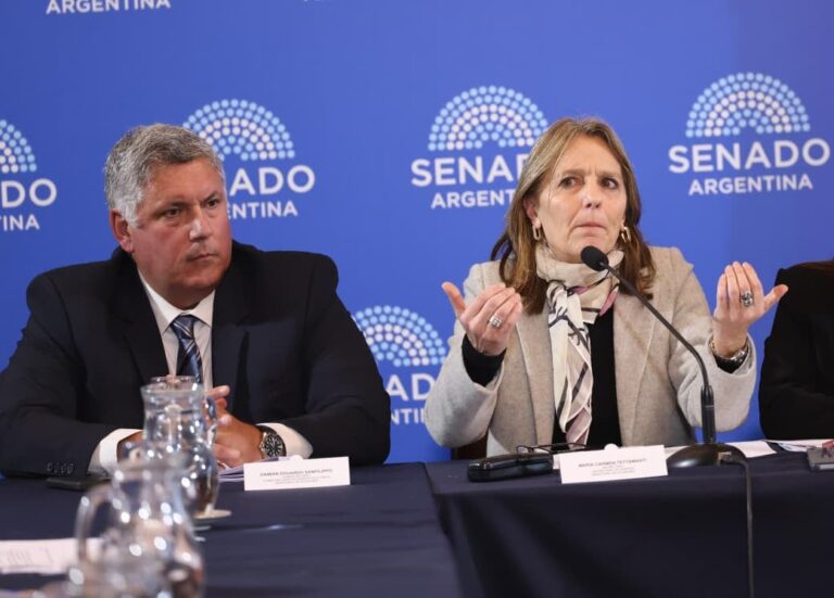El Senado avanza en la modificación del régimen de Zonas Frías