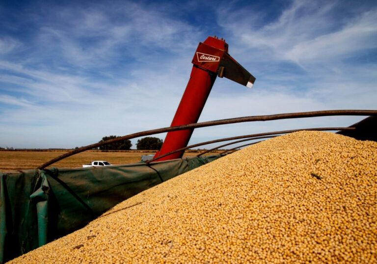 El agro argentino liquidó US$2.750 millones en agosto, pero cae un 12% en el acumulado anual